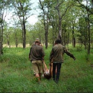 namibia_caprivi_bergung_wild