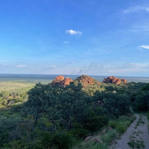 182c8b76-d227-4418-a9c6-339b23c9929f