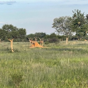 4c9f98e7-48d1-4d93-8db0-1761b4c57414