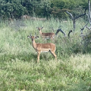 ec1516e4-3a81-4560-b02f-55aba42bf780