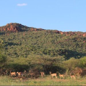 namibia_werners_farm_kleine_waterberg