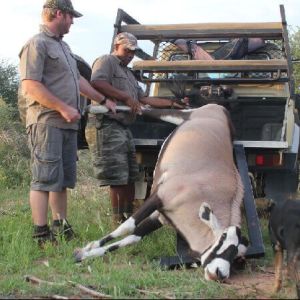 namibia_werners_farm_wildbergung