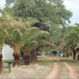 namibia_alex_farm_einfahrt