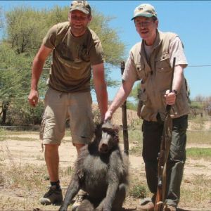 namibia_alex_farm_erlegter_pavian-