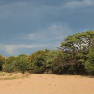 namibia_alex_farm_flussbett