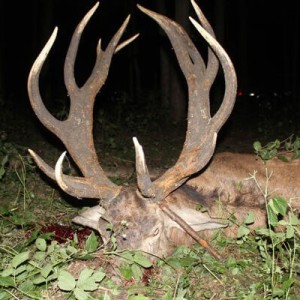 Polen - Jagd 2021