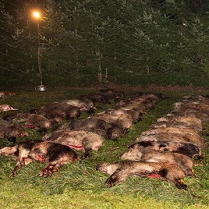 Polen - Jagd 2015