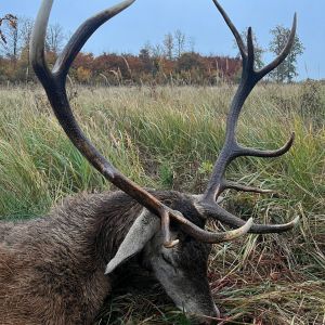 Polen - Jagd 2024