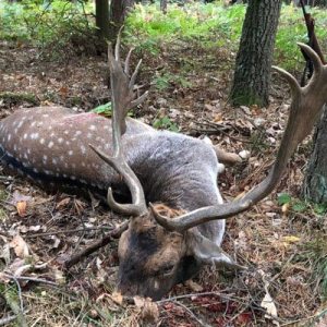 Polen - Jagd 2018