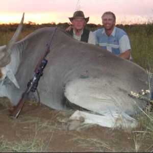 namibia_markus_farm_erlegter_eland