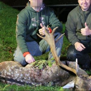 ungarn_staatsrevier_gyulaj_erfolgreiche_damhirschjagd